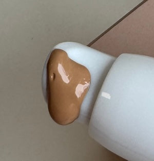 The glow guard- Tinted SPF Moisturizer